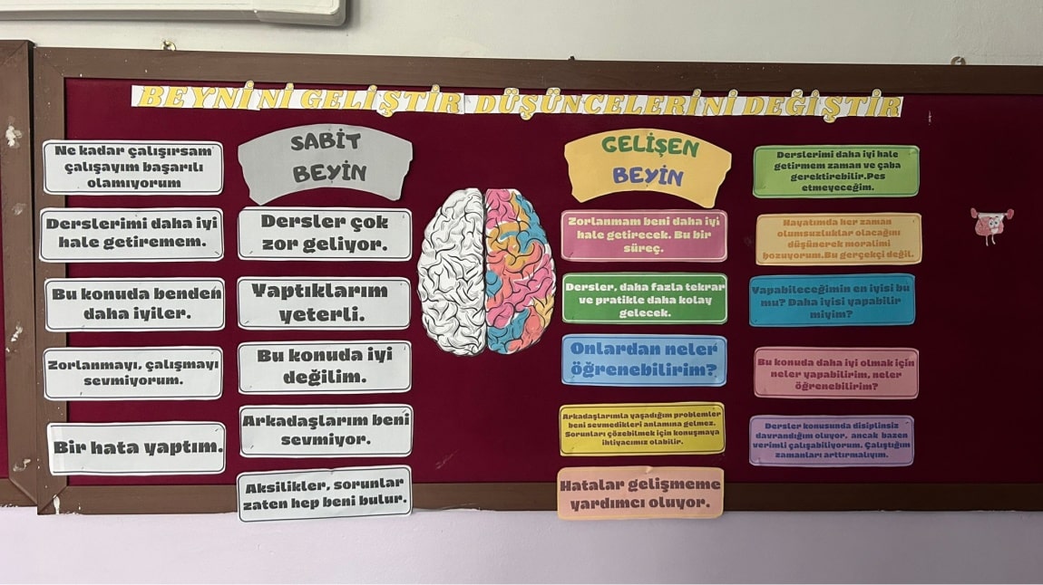 Beynini Geliştir Düşüncelerini Değiştir